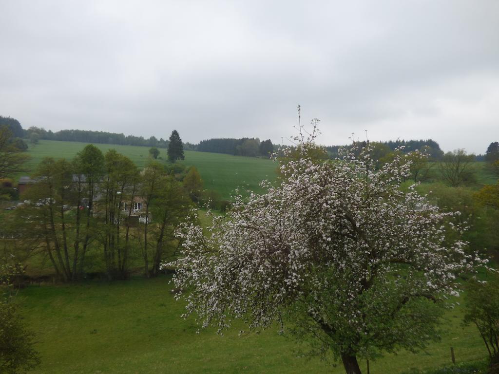 Gîte de l'épilobe Vielsalm Cameră foto